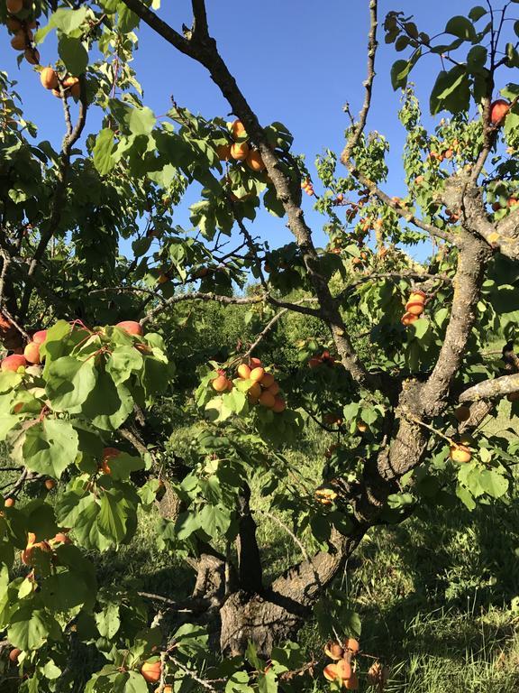 Agriturismo Ca Lunati Hotel Castelletto Mendosio ภายนอก รูปภาพ